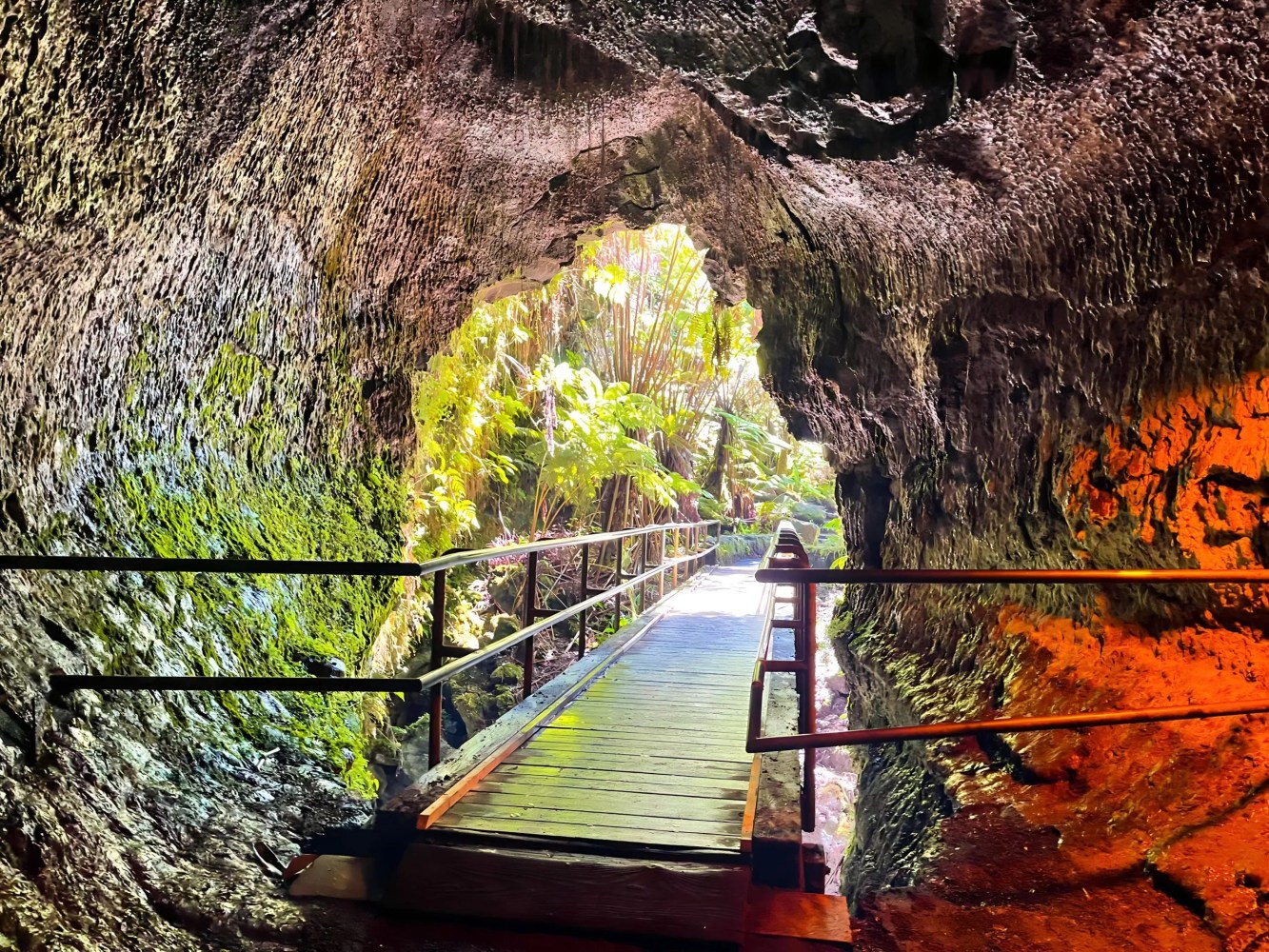 Wooden walkway through a mossy cave leading to a sunlit, lush green forest.