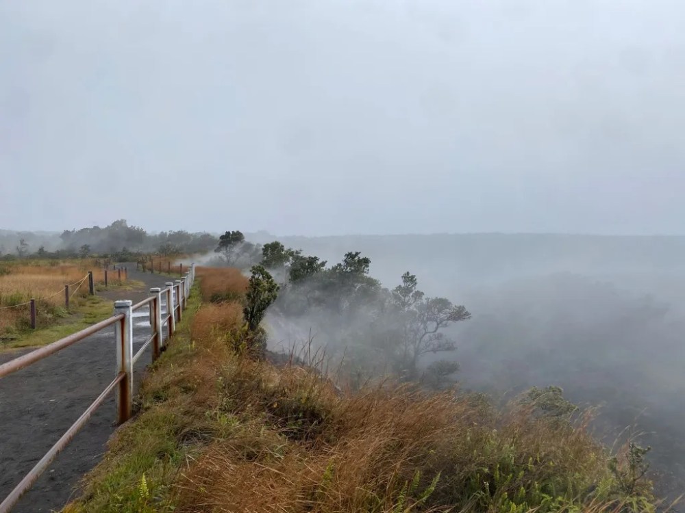 Foggy path with railing, surrounded by grass and trees, fading into misty landscape.