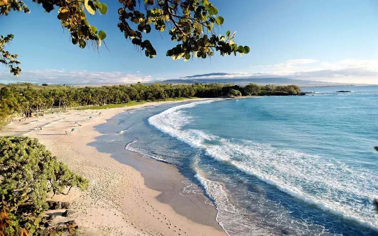 Scenic view of a sunny beach with gentle waves and trees along the shoreline.