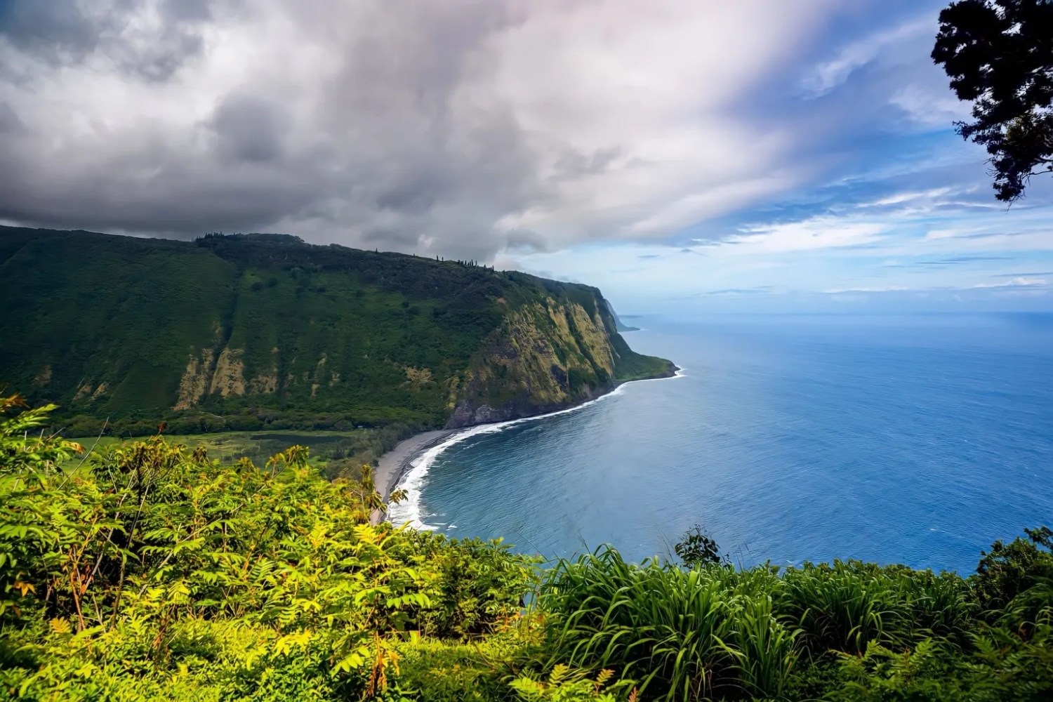 Coastal cliff landscape with lush greenery and ocean under a cloudy sky.