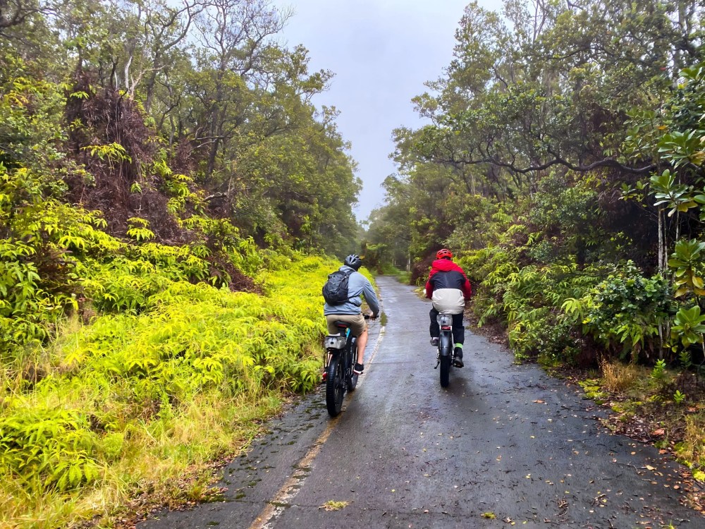 Two cyclists riding on a wet path through a lush, green forest.