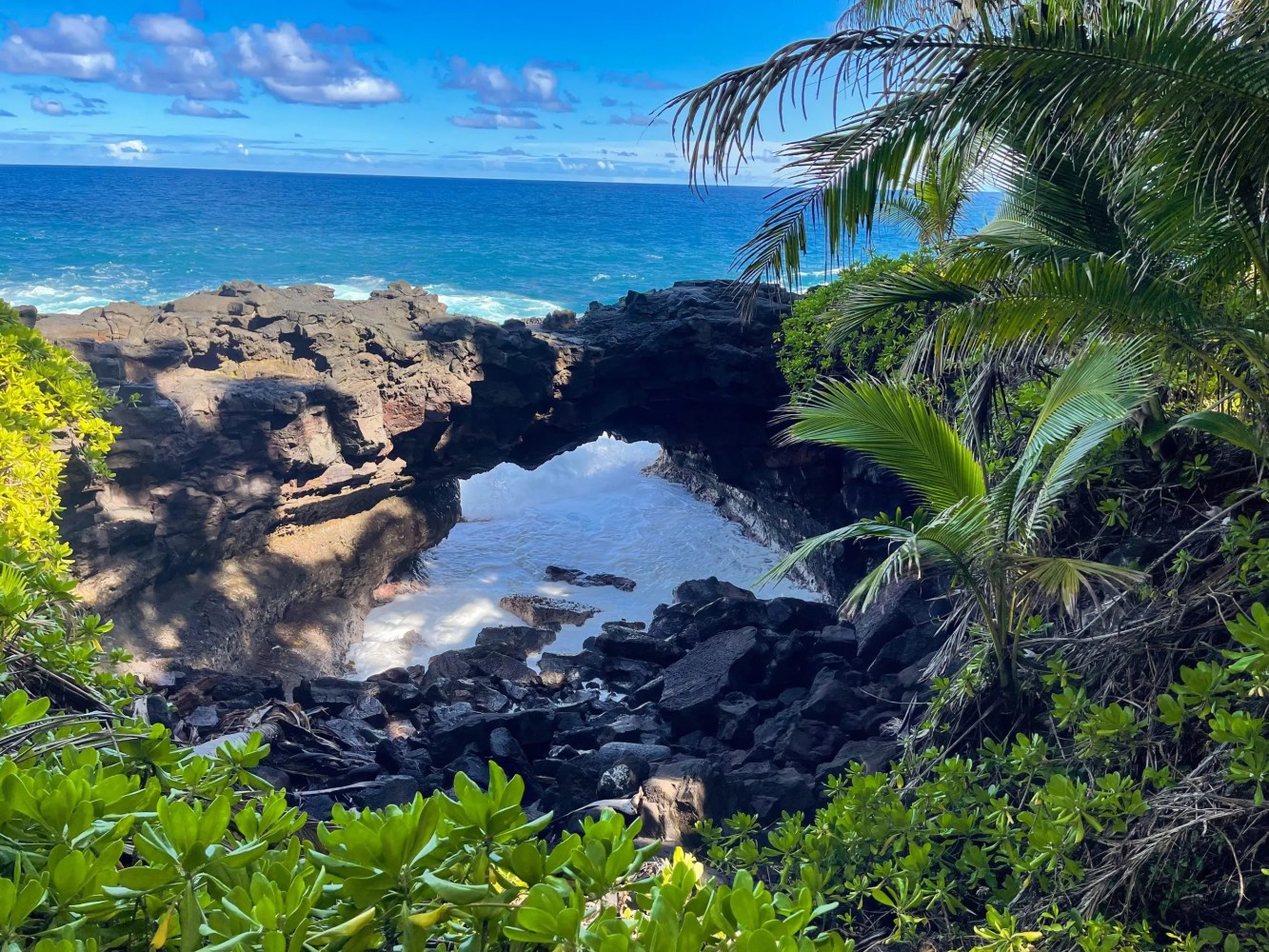 Coastal rock arch over water with green foliage and blue ocean in background.